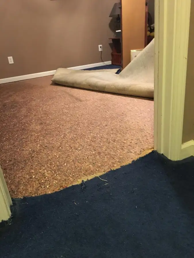Carpet pad removal revealing water damage during Drying & Dehumidification in Tulare